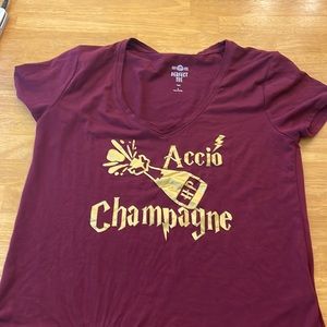 Small Maroon Harry Potter inspired v neck